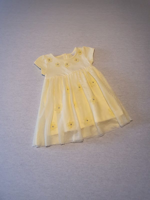Girls 3-6 Bluezoo lemon flower dress