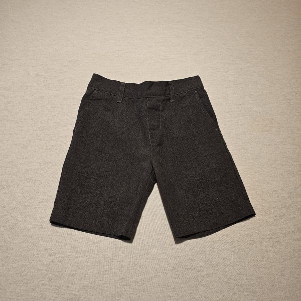 Boys 3-4 F&F grey school shorts